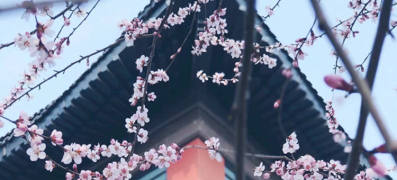 天津生态城希尔顿酒店图片