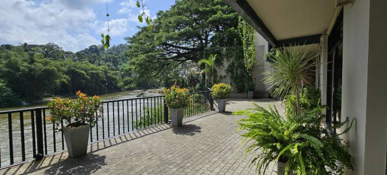 橡瑞御庭酒店(Oak Ray Regency)图片