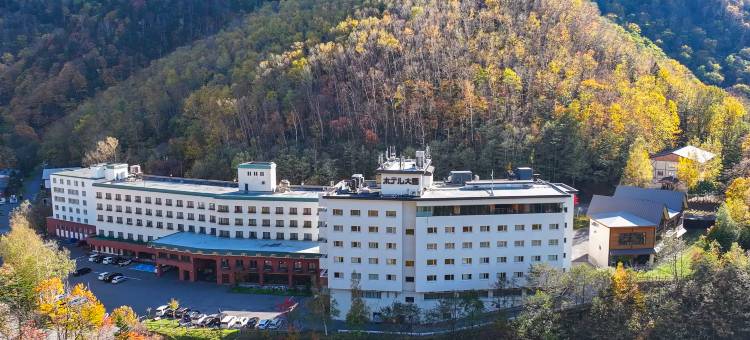 大雪酒店(Hotel Taisetsu Onsen＆Canyon Resort)图片