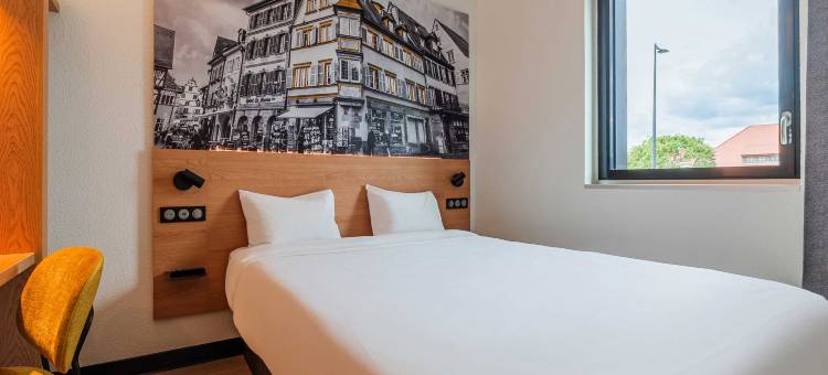 科尔玛展览中心B&B酒店(B&B HOTEL Colmar Expo)图片