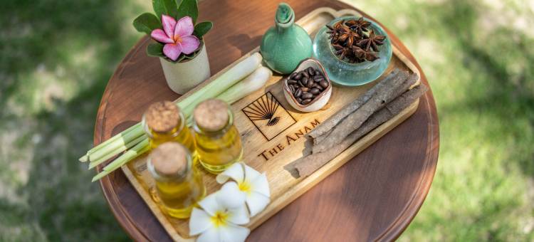 美奈阿南酒店(The Anam Mui Ne)图片