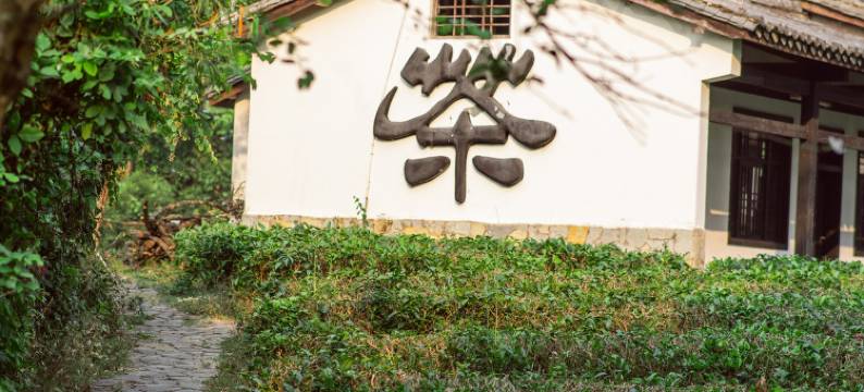 普洱万亩茶园度假酒店(茶博览苑景区店)图片