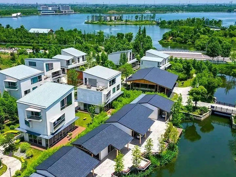 嘉兴飞鸟集丨万棵银杏·千亩湖域·宠物友好·音乐现场·度假民宿