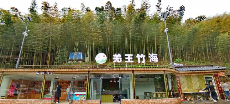 北川羌王竹海酒店图片