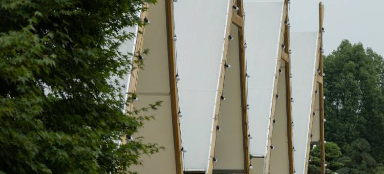 风逸荷塘庄园民宿图片