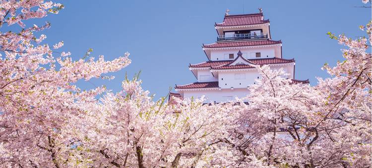 东横会津若松市站前酒店(Toyoko Inn Aizuwakamatsu Ekimae)图片