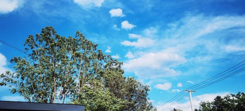 北京艽野集民宿图片