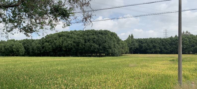 天猫驿站(苏州火车站店)图片