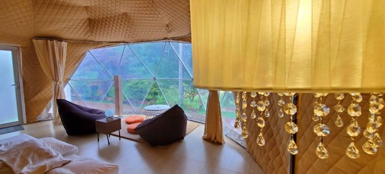 glampark 长野月下美人(glampark Gekkabijin Nagano)图片