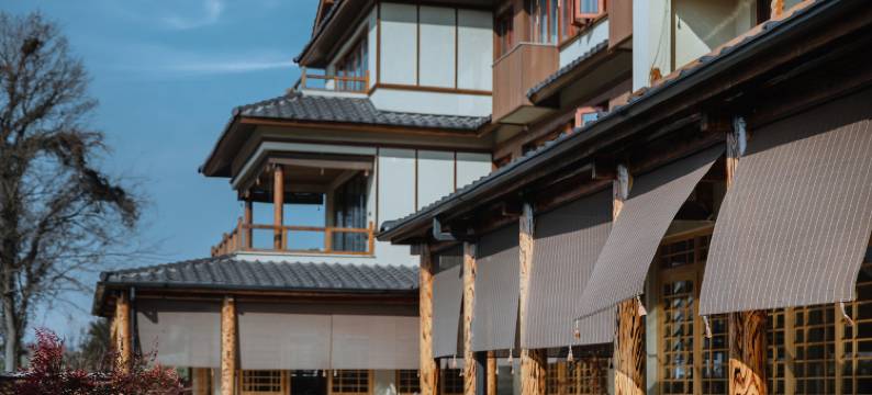 安吉白茶原|悦私塾 · 宋韵国香度假美宿图片