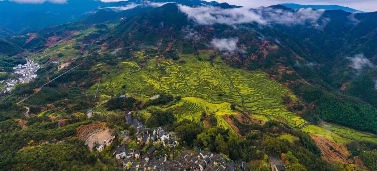 婺源鳙舍·Ink Charm Villa墨韵山居(篁岭度假风景区店)图片