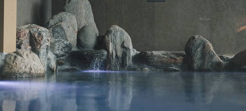 有马汤泉酒店(合肥市政务中心地铁站店)图片