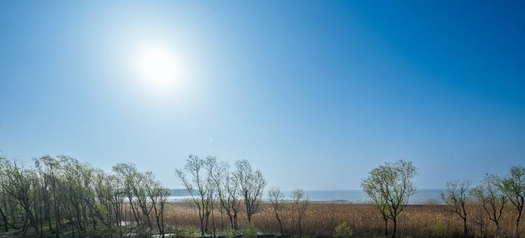 花筑·崇明玥庭·时光里民宿(奚家港店)图片
