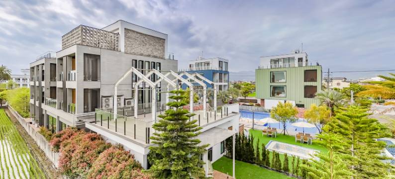 宜蘭寗夏時光图片