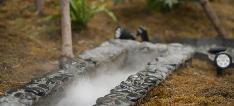 时宋·禅意国风庭院(才村店)图片