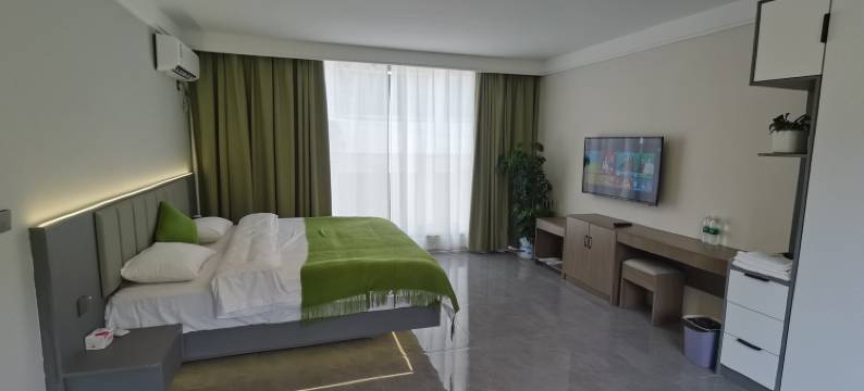 青木川枕溪山河观景民宿图片