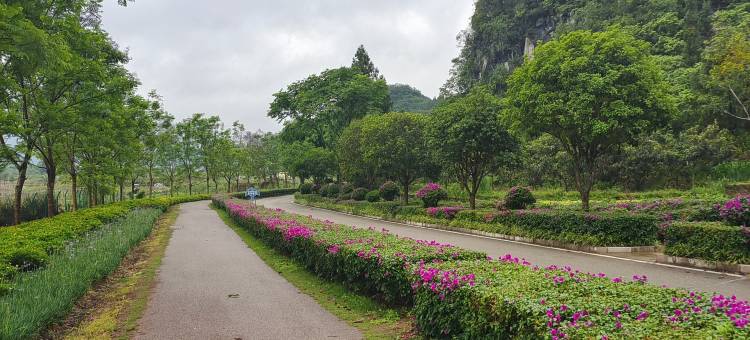 雨涛客栈(万峰林店)图片