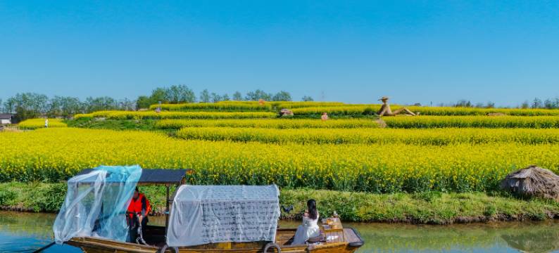 乌镇乌村酒店图片