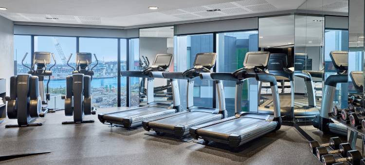 维布霍特尔墨尔本多克兰兹(Vibe Hotel Melbourne Docklands)图片