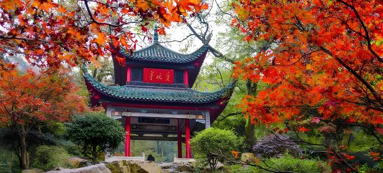 喆啡酒店(长沙五一广场窑岭湘雅二医院地铁站店)图片