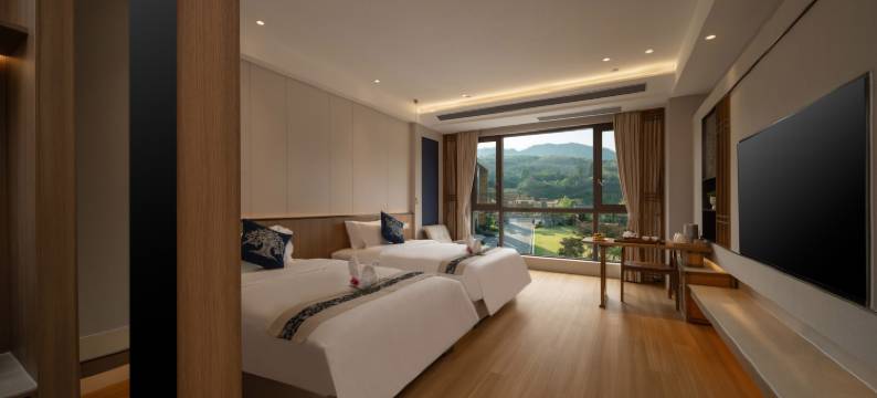 苗阿祖·康养药浴温泉亲子度假酒店图片