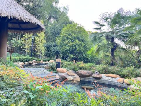 鹿鸣谷度假区修河温泉度假酒店图片