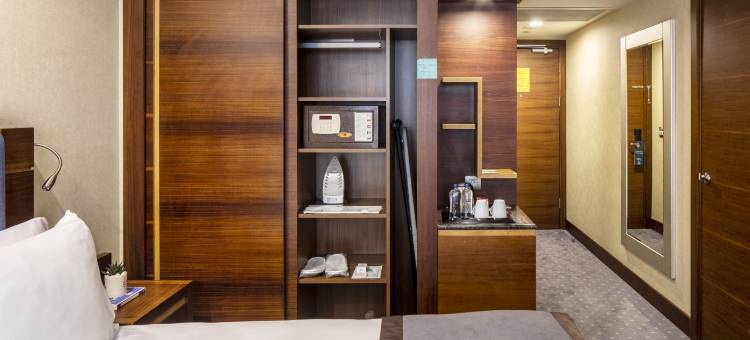 伊斯坦布尔希什利假日酒店(Holiday Inn ISTANBUL - SISLI by IHG)图片