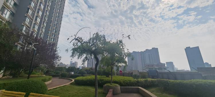 林枫青年旅舍图片