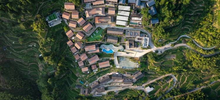 原舍揽树(松阳店)图片