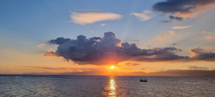 哈尔曼纳海岸花园(Hale Manna Coastal Gardens)图片