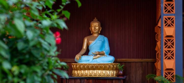 哈弗洛克珊瑚礁度假酒店和水疗中心(Coral Reef Resort & Spa, Havelock)图片