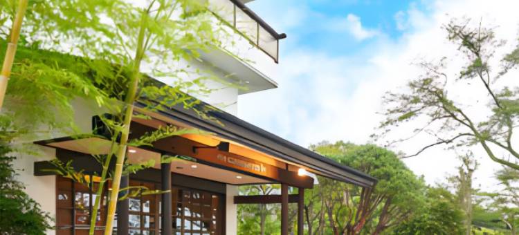 利夫马克斯度假酒店-伊东高原ANNEX店(LiVEMAX RESORT IZUKOGEN ANNEX)图片