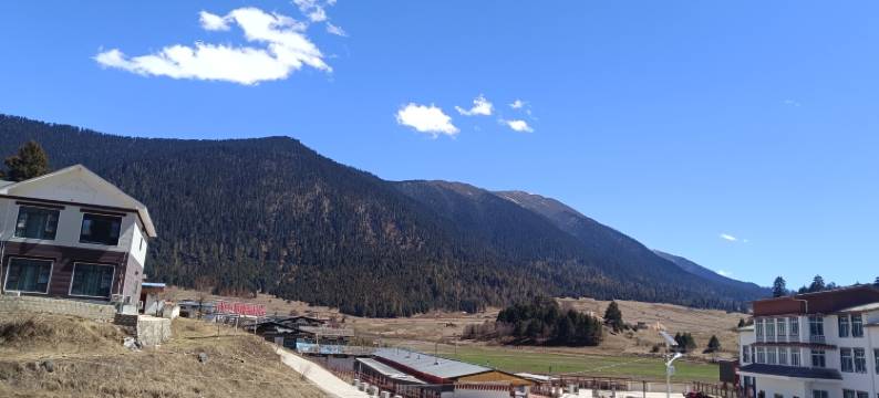 鲁朗福禄·Life度假民宿图片