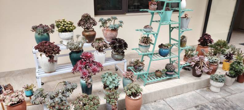 新状元时光民宿(青岩古镇店)图片