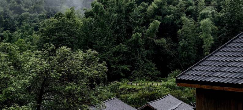 梅岭楠坪古村·青语民宿图片