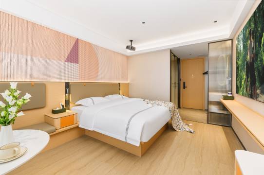 宜呈丽致酒店(忻城土司衙署店)