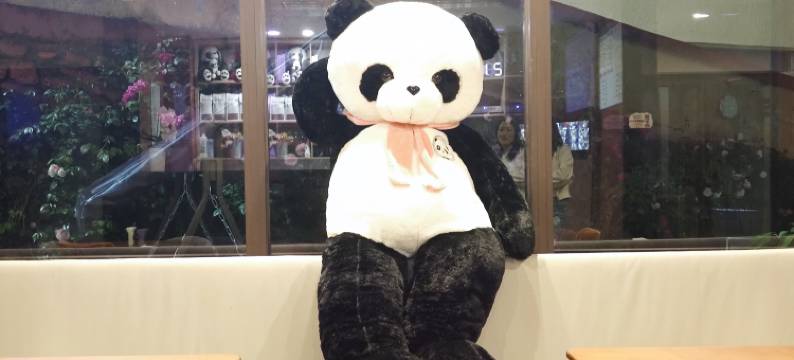 九寨沟见山院子图片