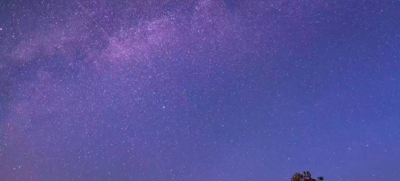 黄山澍德堂•黟县交叉小径的花园图片