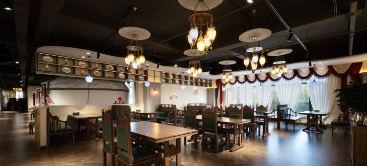 可可托海山岚国际酒店图片