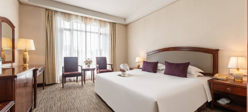 西安曲江惠宾苑宾馆(大雁塔大唐不夜城店)图片