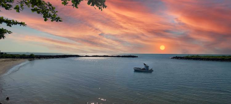 Avery Coconut Island Waterpark Beach Resort Carita图片