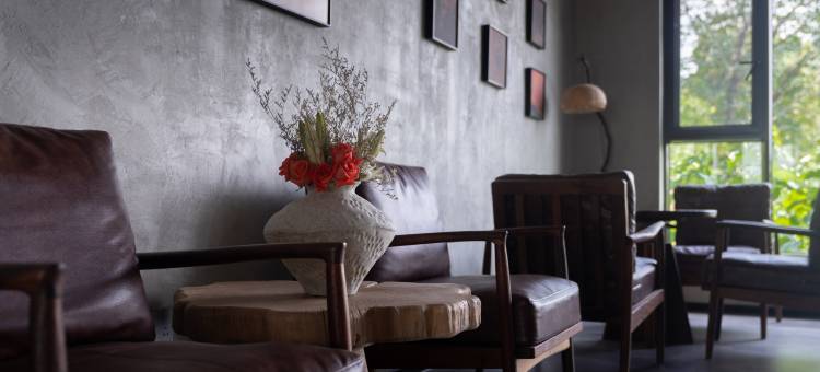 岳阳朴宿民宿(洞庭湖小镇店)图片