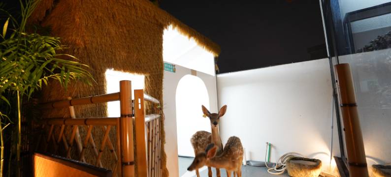 天台易林阁·鹿隐仙踪山景美宿(国清寺景区店)图片