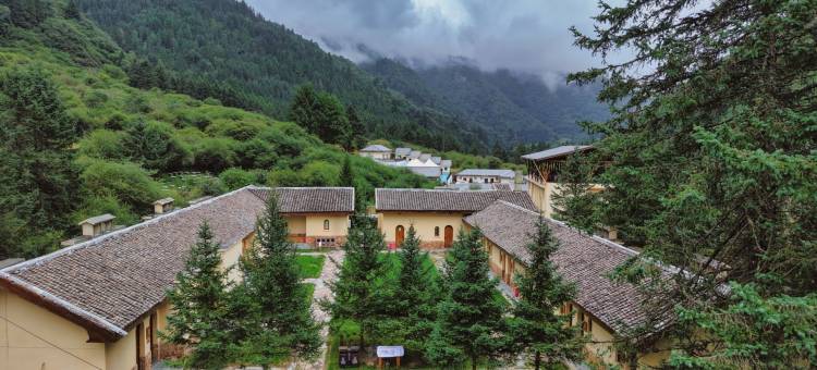 王朗大熊猫探秘营地图片