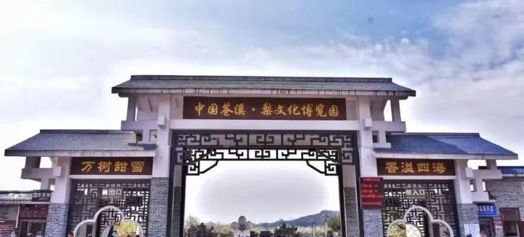 速8优选酒店(苍溪县政府汽车站店)图片