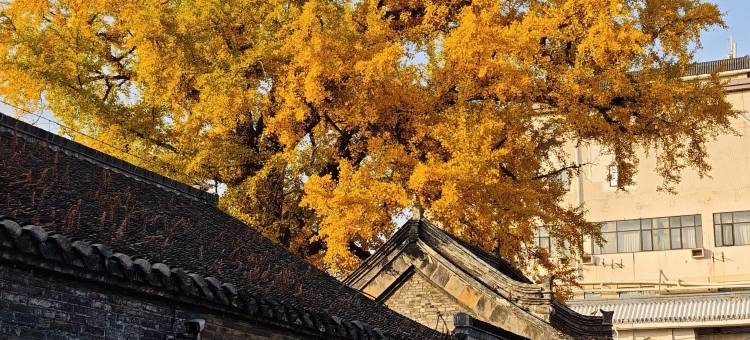 和颐酒店·体验店(扬州琼花大厦古运河东关街店)图片