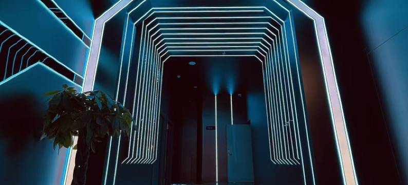 枫林酒店(锦绣·枫林花语店)图片