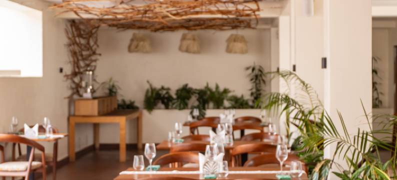 Rugando的巢穴(The Nest)图片