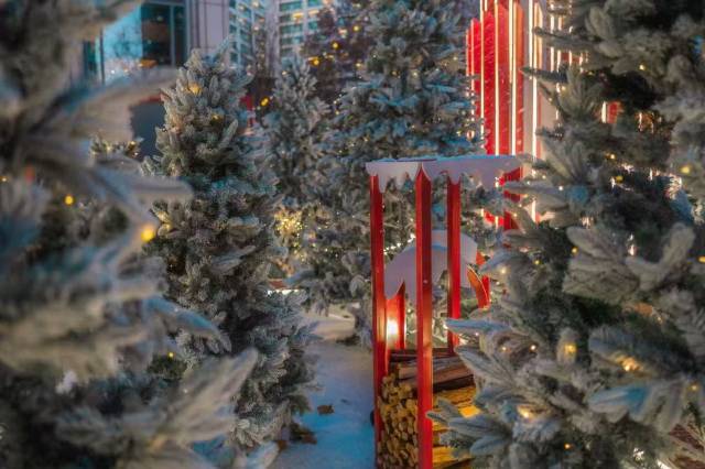 北京丽思卡尔顿酒店(华贸中心)图片