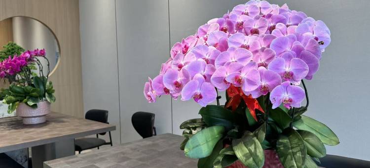 速8酒店(北京旧宫地铁站万科广场店)图片